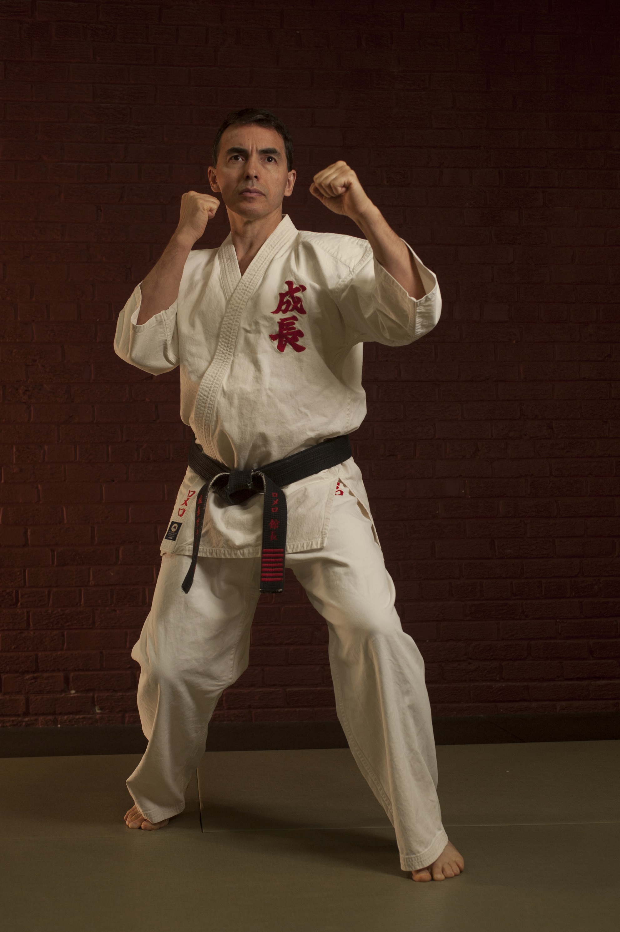 shihan fighting stance